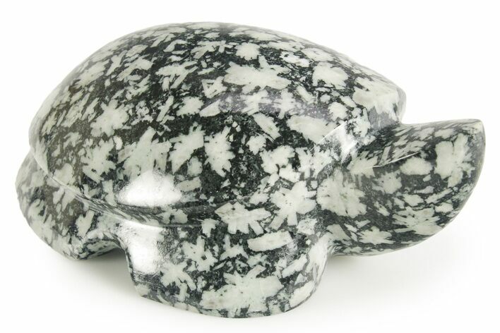 Carved Chinese Writing Rock Turtle - BC Canada #366963